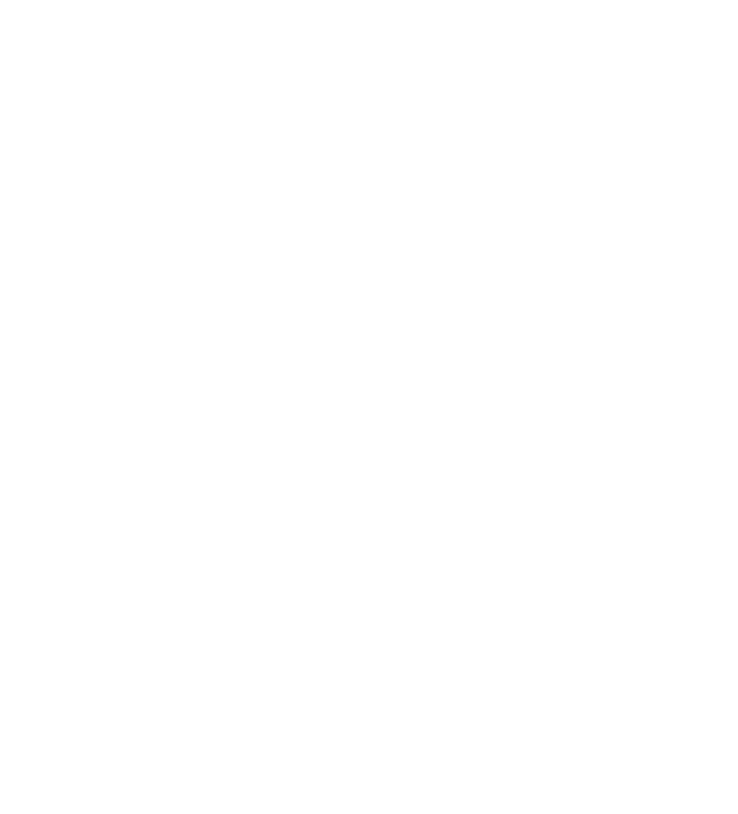 Bloom logo